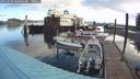 ./images/quadra/hbidock/20240929/hbidock20240929_085001M.jpg