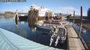 ./images/quadra/hbidock/20240929/hbidock20240929_104000M.jpg
