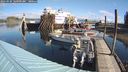 ./images/quadra/hbidock/20240929/hbidock20240929_104500M.jpg