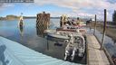 ./images/quadra/hbidock/20240929/hbidock20240929_112501M.jpg