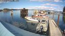 ./images/quadra/hbidock/20240929/hbidock20240929_151501M.jpg