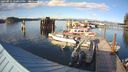 ./images/quadra/hbidock/20240929/hbidock20240929_171000M.jpg
