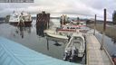 ./images/quadra/hbidock/20240930/hbidock20240930_110500M.jpg