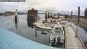 ./images/quadra/hbidock/20240930/hbidock20240930_113000M.jpg