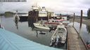 ./images/quadra/hbidock/20241001/hbidock20241001_131001M.jpg