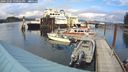 ./images/quadra/hbidock/20241001/hbidock20241001_150501M.jpg