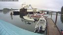 ./images/quadra/hbidock/20241002/hbidock20241002_085000M.jpg
