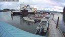 ./images/quadra/hbidock/20241002/hbidock20241002_184001M.jpg