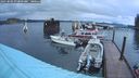 ./images/quadra/hbidock/20241004/hbidock20241004_074002M.jpg