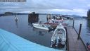 ./images/quadra/hbidock/20241004/hbidock20241004_074502M.jpg