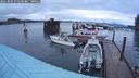 ./images/quadra/hbidock/20241004/hbidock20241004_075502M.jpg