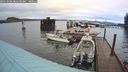 ./images/quadra/hbidock/20241004/hbidock20241004_081501M.jpg