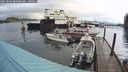./images/quadra/hbidock/20241004/hbidock20241004_085001M.jpg