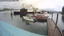 ./images/quadra/hbidock/20241004/hbidock20241004_104501M.jpg