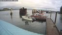 ./images/quadra/hbidock/20241004/hbidock20241004_111500M.jpg