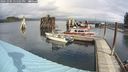 ./images/quadra/hbidock/20241004/hbidock20241004_121501M.jpg