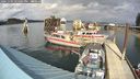 ./images/quadra/hbidock/20241004/hbidock20241004_144002M.jpg