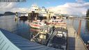 ./images/quadra/hbidock/20241004/hbidock20241004_164001M.jpg