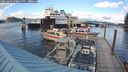 ./images/quadra/hbidock/20241004/hbidock20241004_170001M.jpg