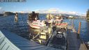 ./images/quadra/hbidock/20241004/hbidock20241004_172001M.jpg