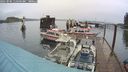 ./images/quadra/hbidock/20241005/hbidock20241005_114502M.jpg