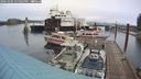 ./images/quadra/hbidock/20241005/hbidock20241005_131501M.jpg