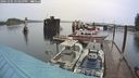 ./images/quadra/hbidock/20241005/hbidock20241005_153500M.jpg