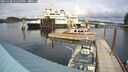 ./images/quadra/hbidock/20241008/hbidock20241008_145500M.jpg
