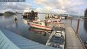 ./images/quadra/hbidock/20241008/hbidock20241008_164000M.jpg