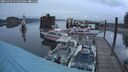 ./images/quadra/hbidock/20241009/hbidock20241009_071503M.jpg