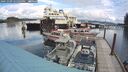 ./images/quadra/hbidock/20241009/hbidock20241009_125503M.jpg
