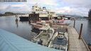 ./images/quadra/hbidock/20241009/hbidock20241009_131003M.jpg