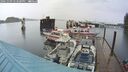 ./images/quadra/hbidock/20241009/hbidock20241009_143500M.jpg