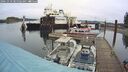 ./images/quadra/hbidock/20241010/hbidock20241010_085503M.jpg