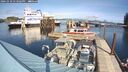 ./images/quadra/hbidock/20241010/hbidock20241010_133503M.jpg