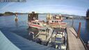 ./images/quadra/hbidock/20241010/hbidock20241010_145503M.jpg