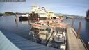 ./images/quadra/hbidock/20241010/hbidock20241010_152503M.jpg