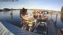 ./images/quadra/hbidock/20241010/hbidock20241010_173503M.jpg