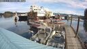 ./images/quadra/hbidock/20241011/hbidock20241011_104500M.jpg