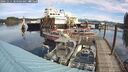 ./images/quadra/hbidock/20241011/hbidock20241011_104503M.jpg