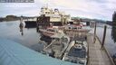./images/quadra/hbidock/20241011/hbidock20241011_113503M.jpg