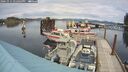 ./images/quadra/hbidock/20241011/hbidock20241011_142003M.jpg