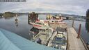 ./images/quadra/hbidock/20241011/hbidock20241011_142500M.jpg