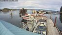 ./images/quadra/hbidock/20241011/hbidock20241011_143003M.jpg