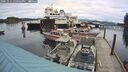 ./images/quadra/hbidock/20241011/hbidock20241011_150502M.jpg