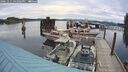 ./images/quadra/hbidock/20241011/hbidock20241011_162503M.jpg