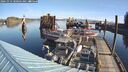 ./images/quadra/hbidock/20241012/hbidock20241012_100502M.jpg