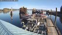 ./images/quadra/hbidock/20241012/hbidock20241012_101003M.jpg