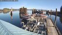./images/quadra/hbidock/20241012/hbidock20241012_103003M.jpg