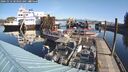./images/quadra/hbidock/20241012/hbidock20241012_103502M.jpg
